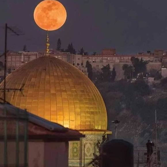 mohammad_naim